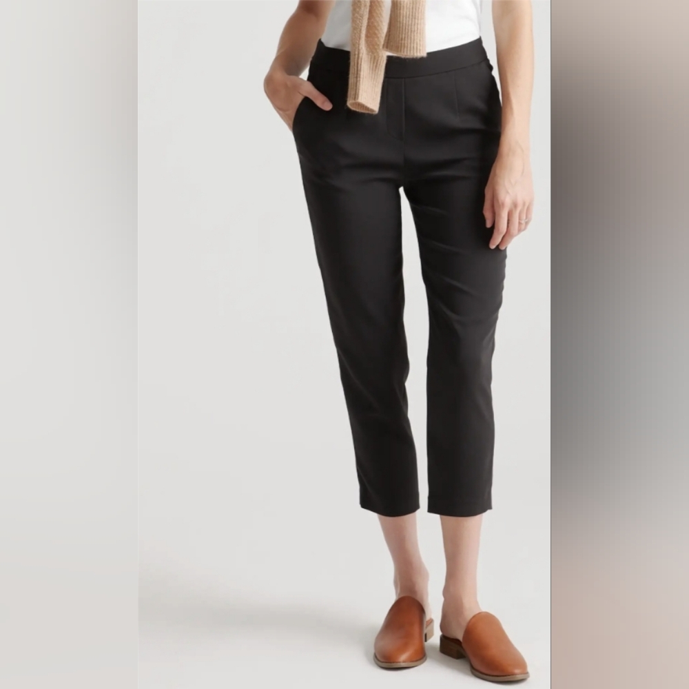 Quince stretch crepe pleated ankle pant
